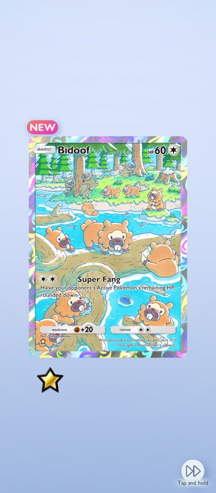 Bidoof full art card in Pokemon TCGP