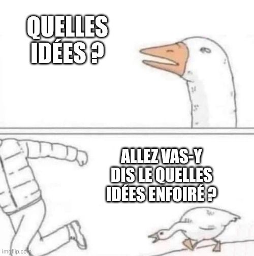 Le même de l'oie qui poursuit le type en doudoune avec comme texte "quelles idées ? Vas-y dis-le quelles idées enfoiré ?"