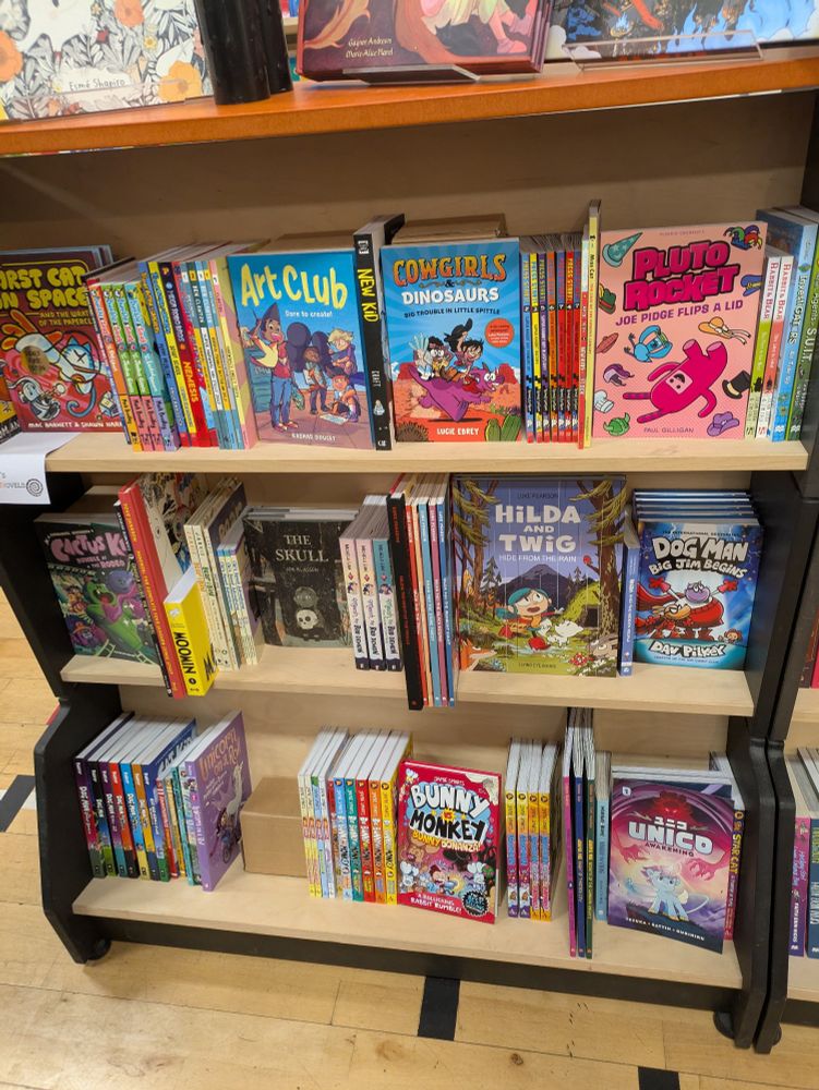 Photo of a bookshelf covered with lots of graphic novels for young people.