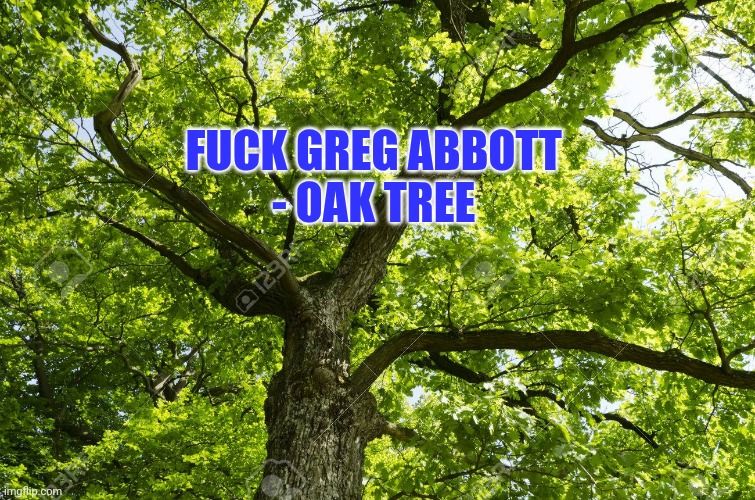 Fuck Greg Abbott - Oak Tree 