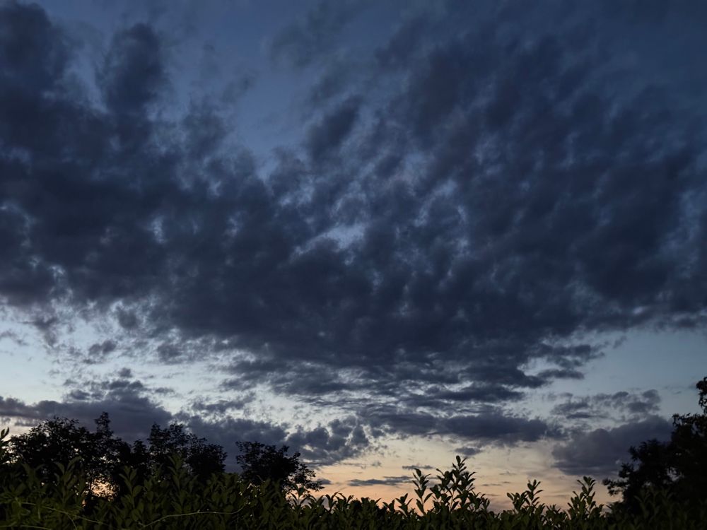 Panorama con cielo velato di nubi grigio scuro, gli ultimi raggi di luce dopo il tramonto e l’orizzonte con piante e rami