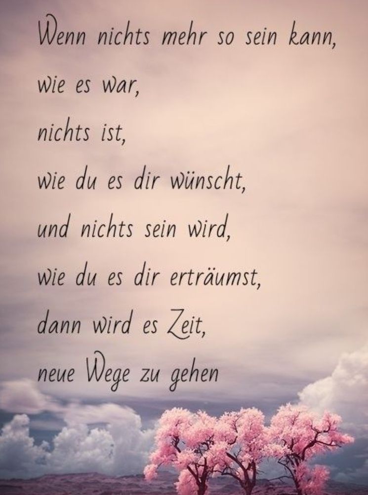 Spruch mit Kirschblüte im Hintergrund 
