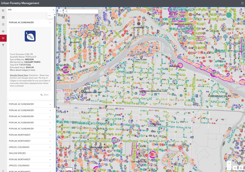 whole-ass map of like every tree