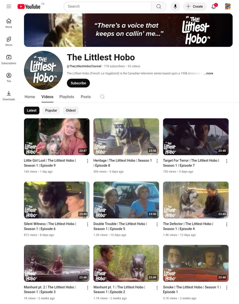Screenshot of the channel