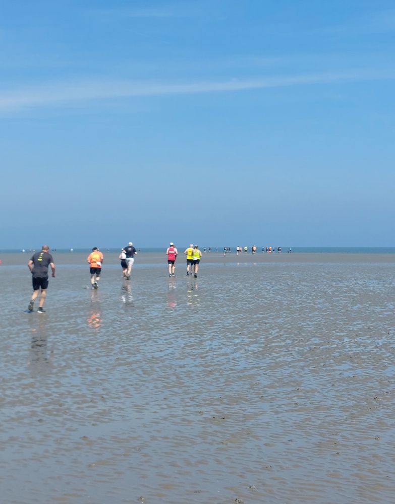 Durchs Watt laufen mehrere Läufer 