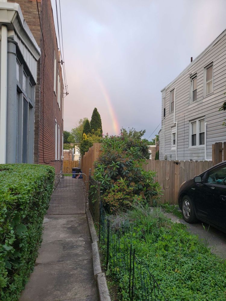 A rainbow is visible in between rowhomes