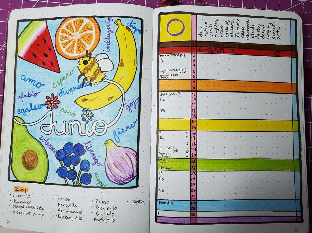 A bullet journal spread showing an illustration of fruits (representing pride colors) with a bee, a habit tracker, and a calendar.