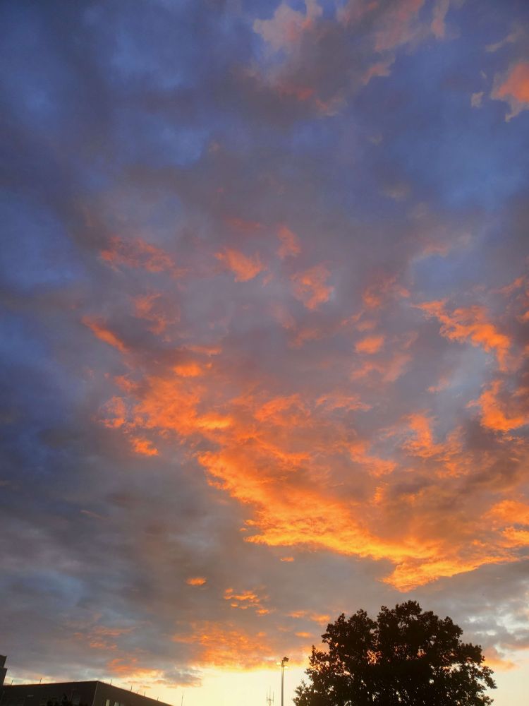 Intense sunset colors after a rainstorm