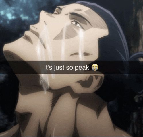 Image of todo
From jjk crying with the “it’s just so peak 😭”