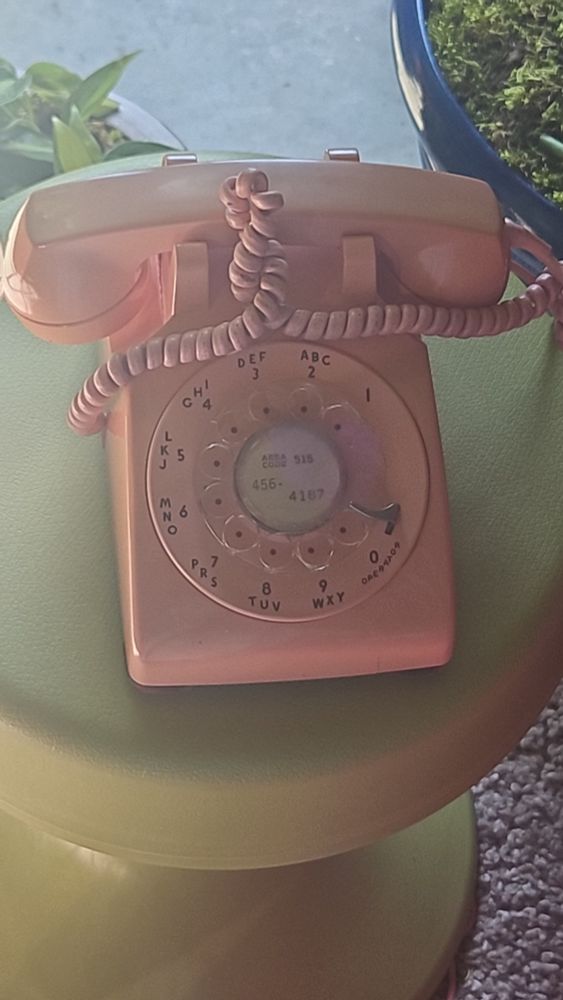 A pink rotary phone with thr number 516-456-4187