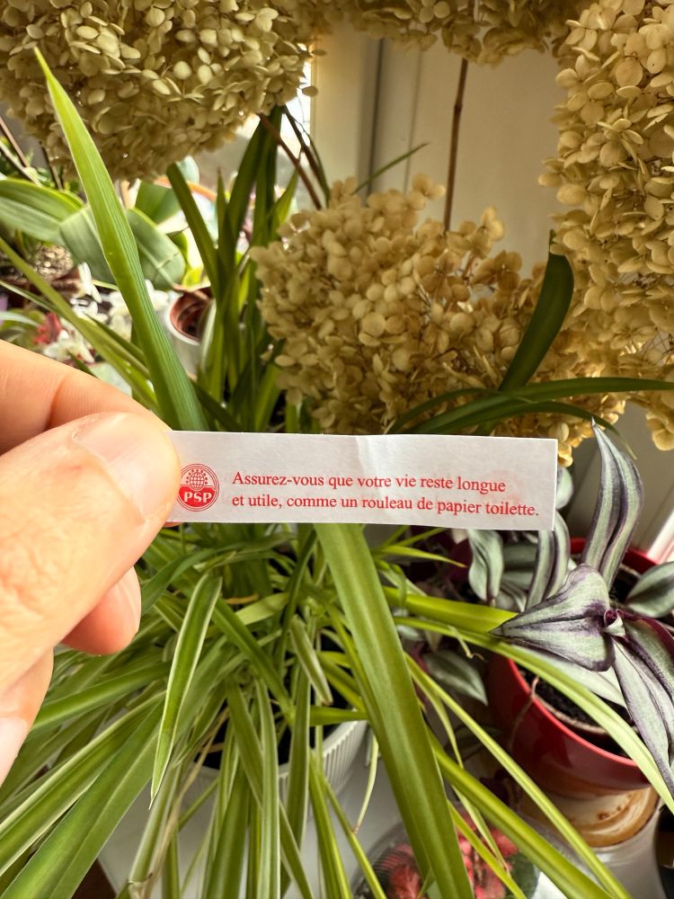 Message d’un biscuit porte-bonheur : “Assurez-vous que votre vie reste longue et utile, comme un rouleau de papier toilette.”