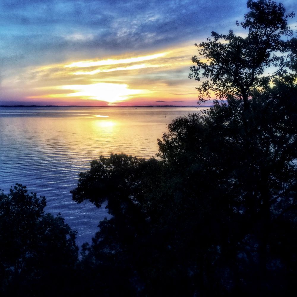 A serene sunrise over the Chesapeake Bay on a summer morning, with golden and orange light reflecting on calm waters, silhouetted trees framing the scene from an elevated shoreline viewpoint. 