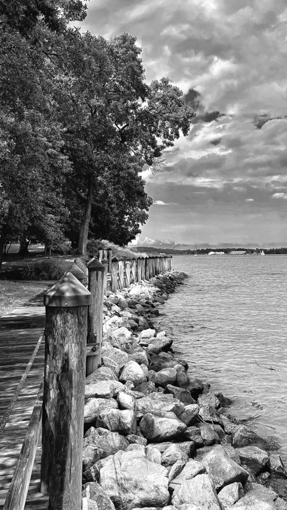 Black and white photograph of a wooden pier extending along a rocky shoreline on the Chesapeake Bay. Weathered wooden posts line the water’s edge, with large stones forming a breakwater. Mature trees frame the left side under a dramatic cloudy sky, with the calm bay waters stretching to the distant horizon.