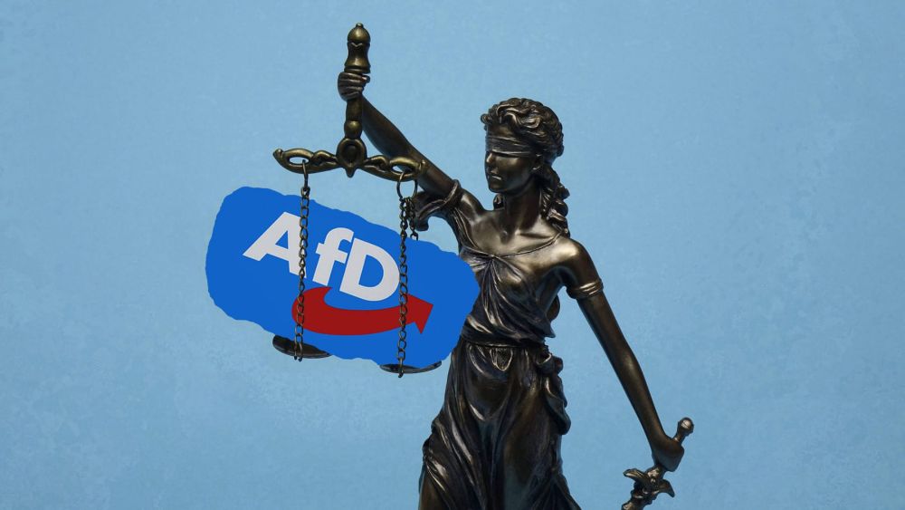 Weitere Ermittlungen laufen: Mindestens elf AfD-Mitglieder wegen Gewalttaten verurteilt