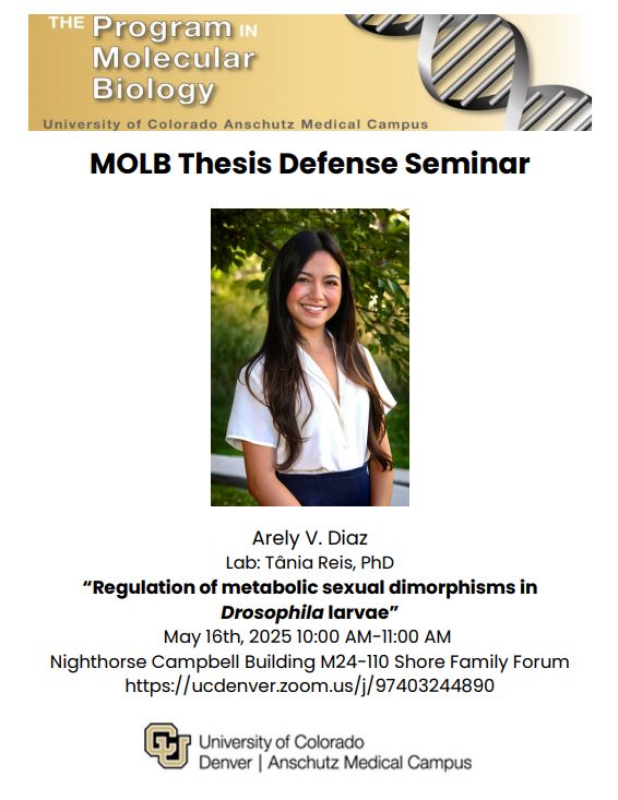 flyer advertising the thesis defense of Arely Diaz