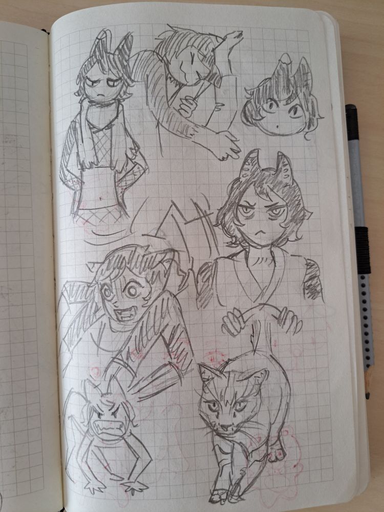 sketches of izutsumi from dungeon meshi redrawn from manga panels, and a sketch of a real life cat