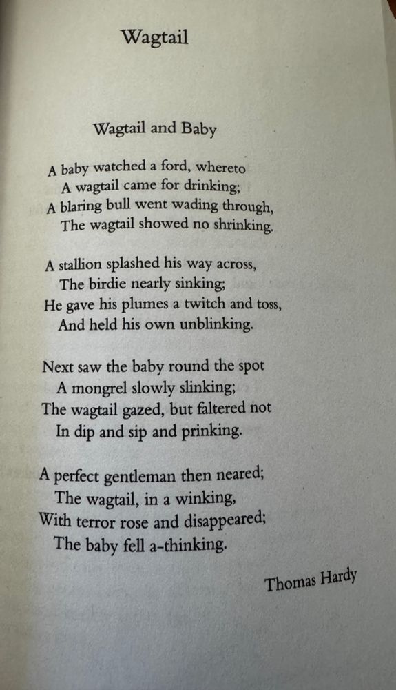 From The Poetry if Birds, ed. Simon Armitage and Tim Dee