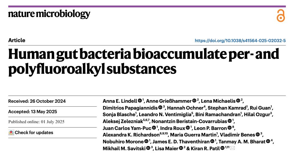 Human gut bacteria bioaccumulate PFAS