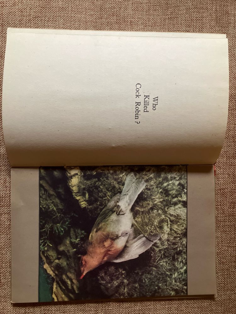 Image of picture book spread - words ‘Who killed cock robin?’ With a photo of a dead bird.
