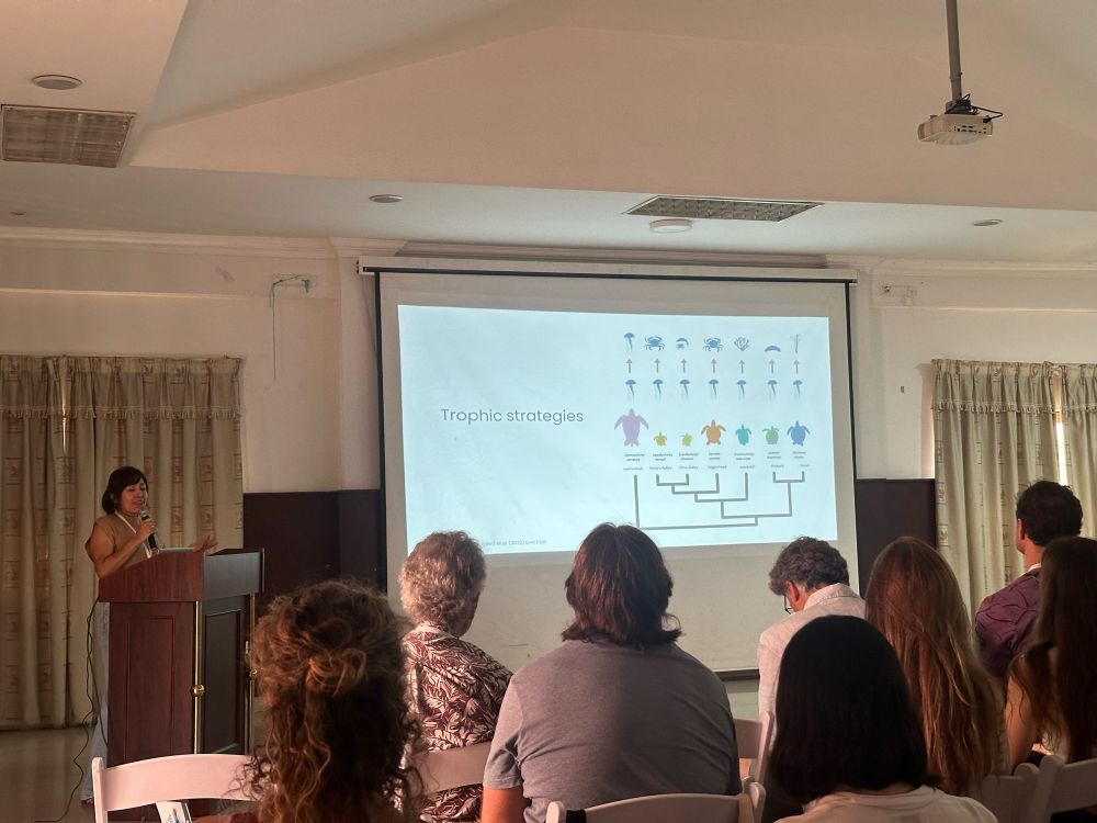 Mariela Pajuelo stands at the podium with a slide of different sea turtle species and their trophic strategies. 