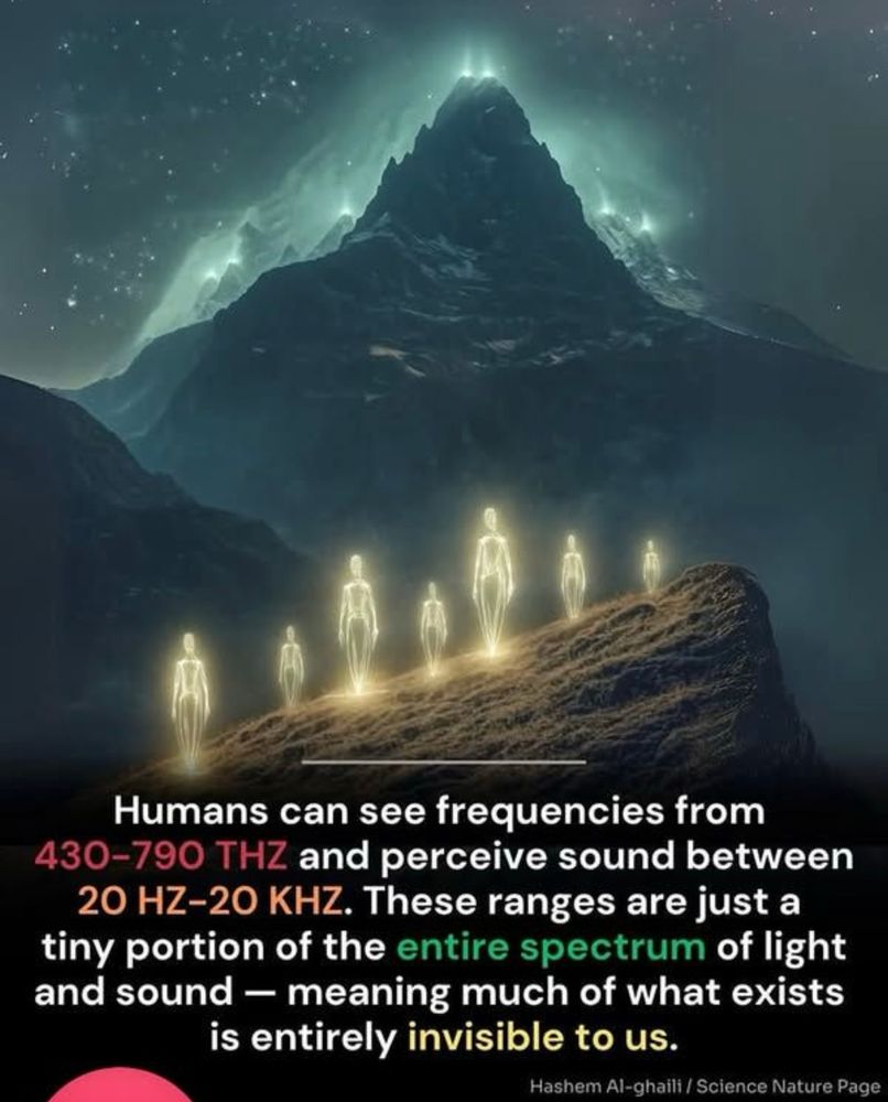 Photo of glowing light brings standing on a mountain rock.
Tex reads:Humans can see frequencies from 430-790 THZ and perceive sound between
20 HZ-20 KHZ. These ranges are just a tiny portion of the entire spectrum of light
and sound - meaning much of what exists is entirely invisible to us.
Hashem Al-ghailt / Science Nature Page

#frequency #energy #vibration #love #meditation #consciousness #healing #spirituality #awakening #spiritual #lawofattraction #universe #spiritualawakening #art #manifestation #enlightenment #higherconsciousness #manifest #soundhealing #mindfulness #raiseyourvibration #chakras #lightworker #soul #5D