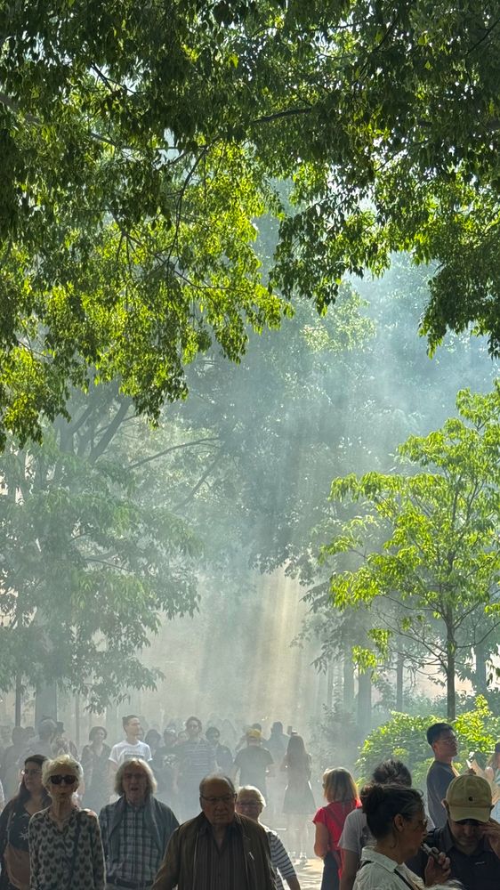 Pendant la manifestation du 1er mai à Paris. Foule marchant sous les arbres et les fumigènes sur le trottoir le long de la manif pour 