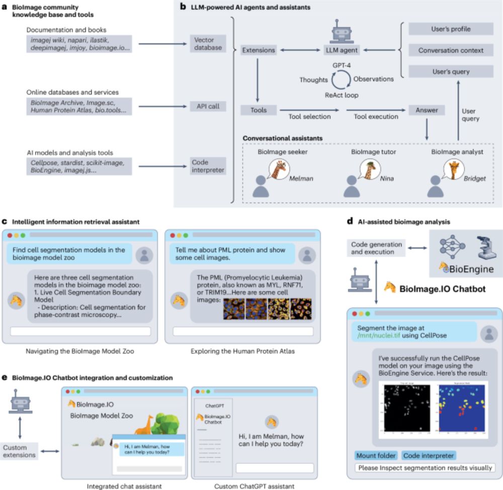 BioImage.IO Chatbot: a community-driven AI assistant for integrative computational bioimaging - Nature Methods