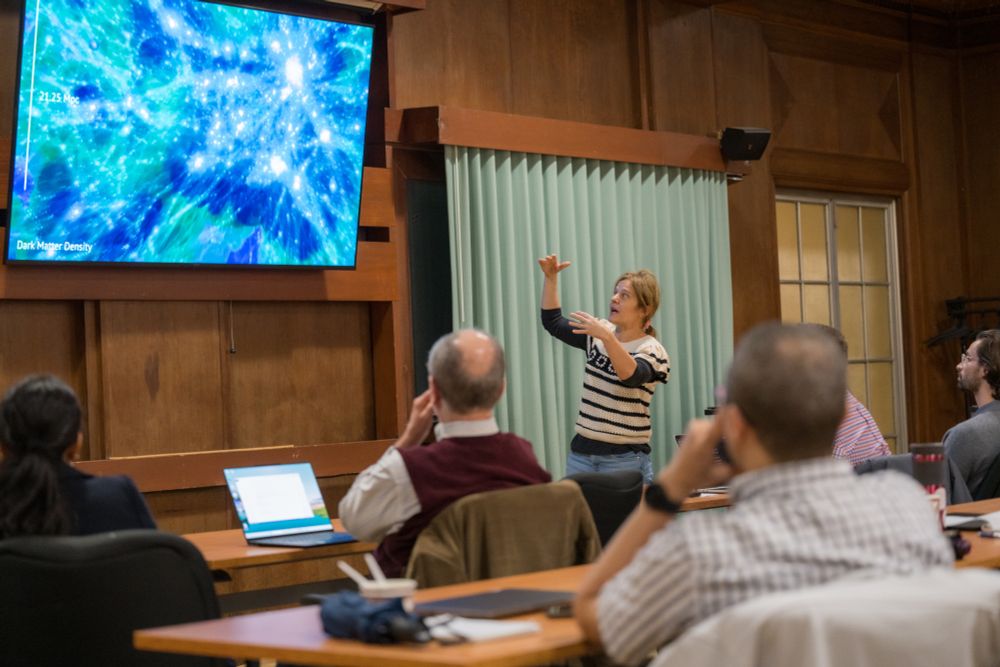 Tiziana di Matteo stands at the front of a classroom and speaks to a group of professors. In the background, a screen shows a colorful image meant to demonstrate dark matter density.