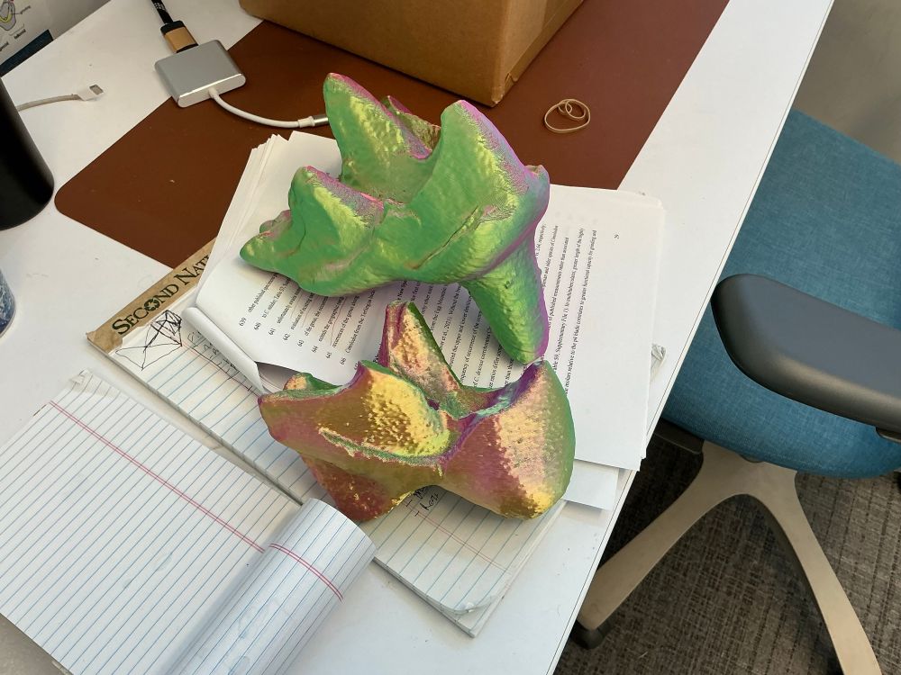 3D printed models of tiny fossil teeth in a green/gold/pink tricolor filament. 