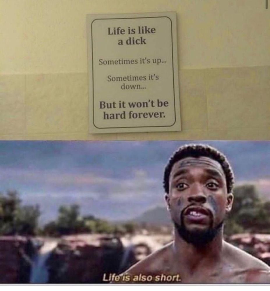 Meme: Sign that reads "Life is like a dick: Sometimes it's up, sometimes it's down, but it won't be hard forever" and under it is a caption from a film with the actor stating "Life is also short"