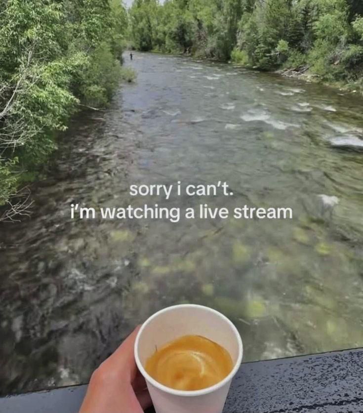 Someone watching a stream with a cup of coffee and the caption reads "Sorry I can't. I'm watching a live stream."