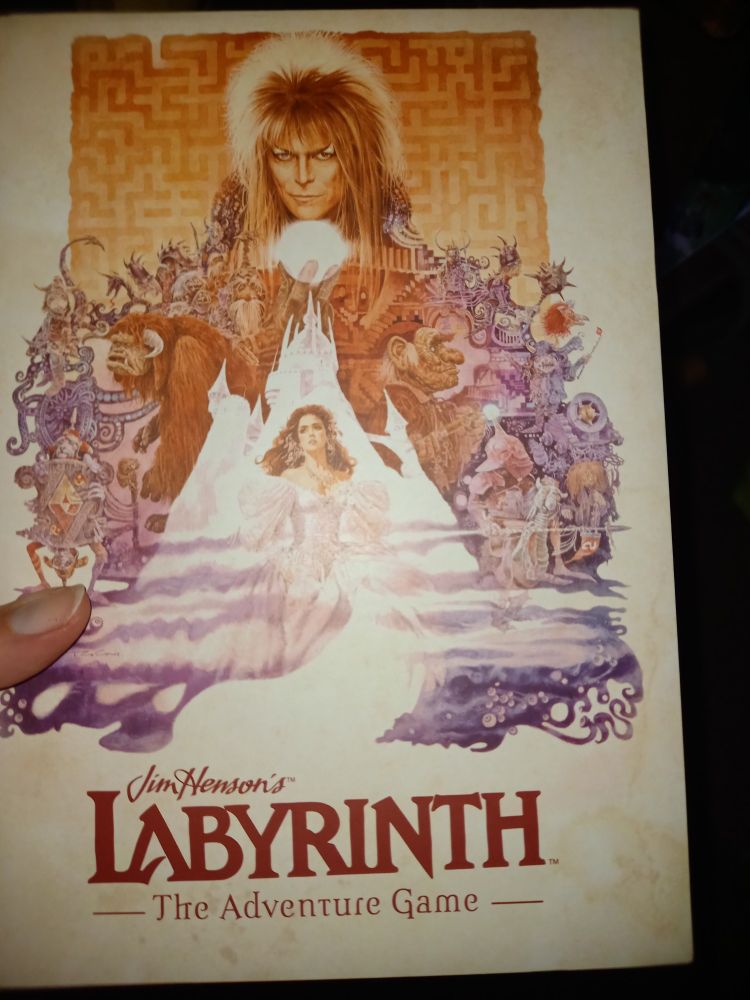 Das Bild zeigt das Buchcover des Rollenspiels  "Jim Hensons Labyrinth". Zu sehen sind die Hauptfigur Sarah, Jared der Koboldkönig und zahlreiche Bewohner des Labyrinths.