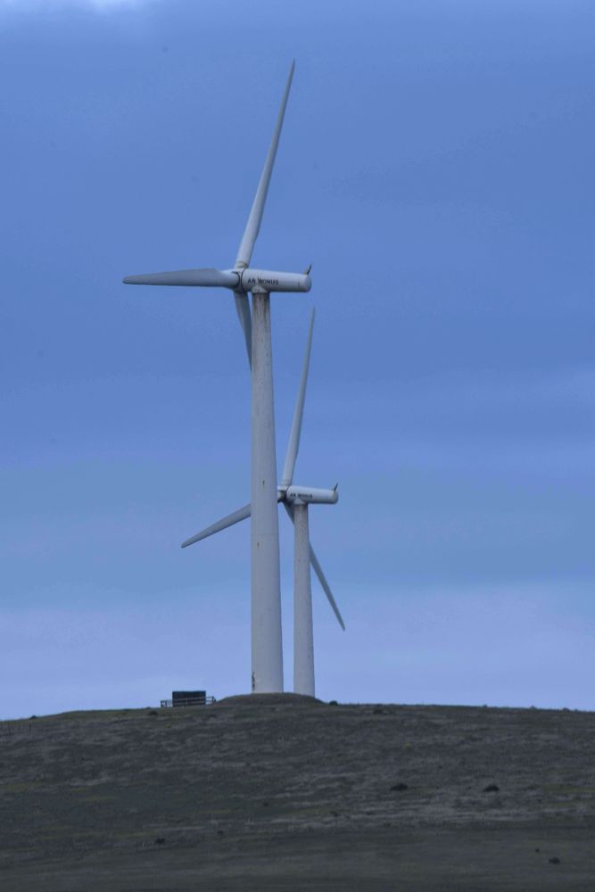 Two wind turbines standing sentinal on top of a slight hill.