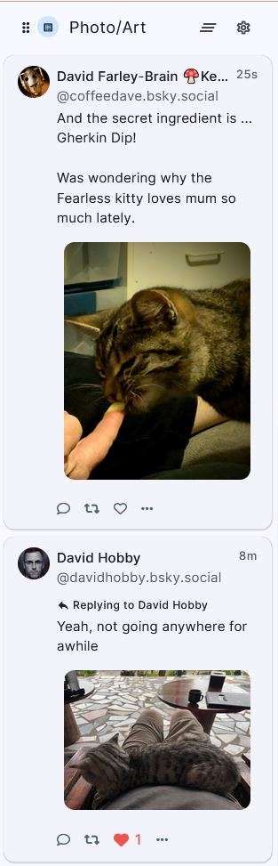 Two posts in a row in my Photo/Art column from photographers named David, both featuring gorgeous tabby cats.