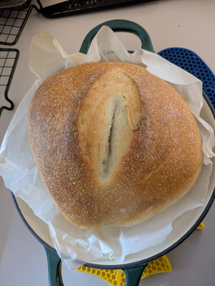 Sourdough loaf with a slit that looks like a damn coochie