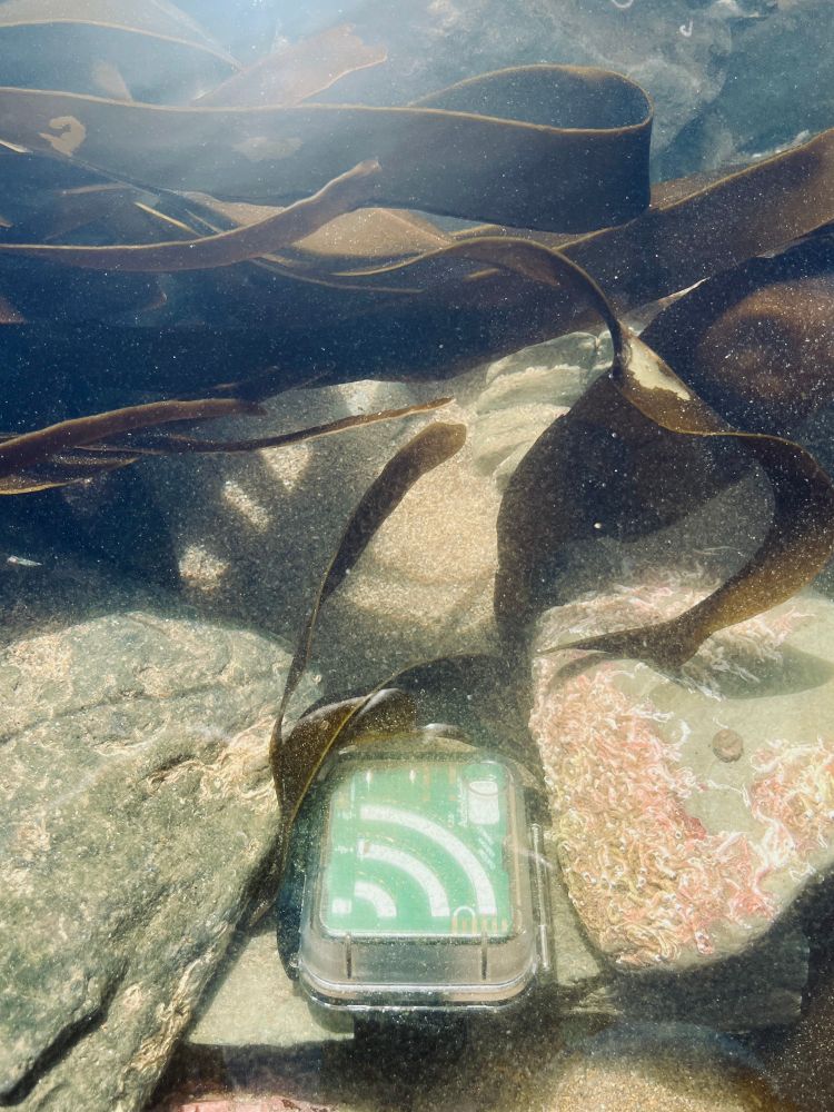 Underwater mic