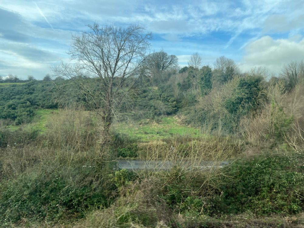 View from train of field, hedgerows, trees