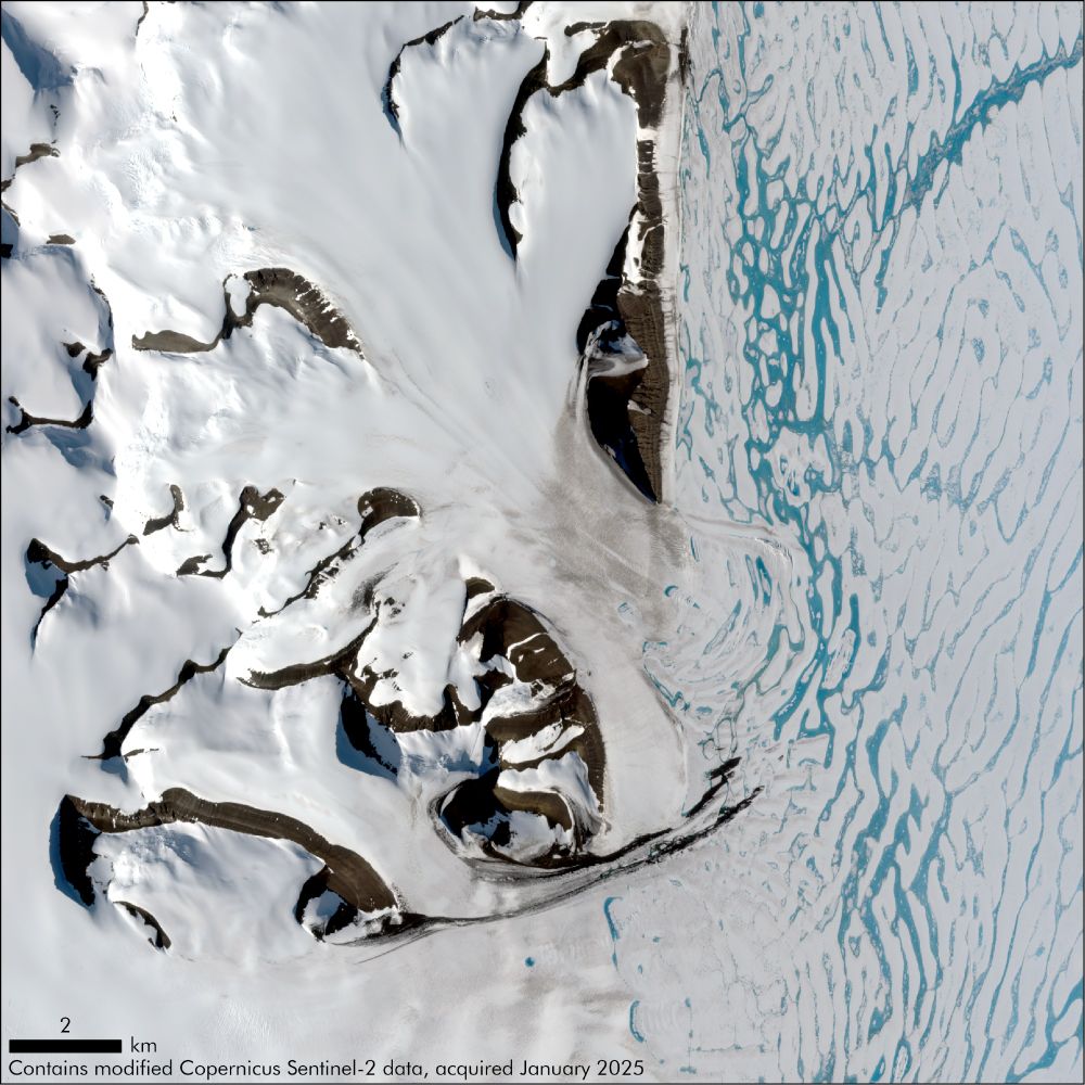 A satellite image of the Fossil Bluff region on Alexander Island. Rocky outcrops can be seen in brown, with areas of moraine being moved eastwards (right, in the image) onto the ice shelf. George VI Ice Shelf can be seen, covered in bright blue meltpools.