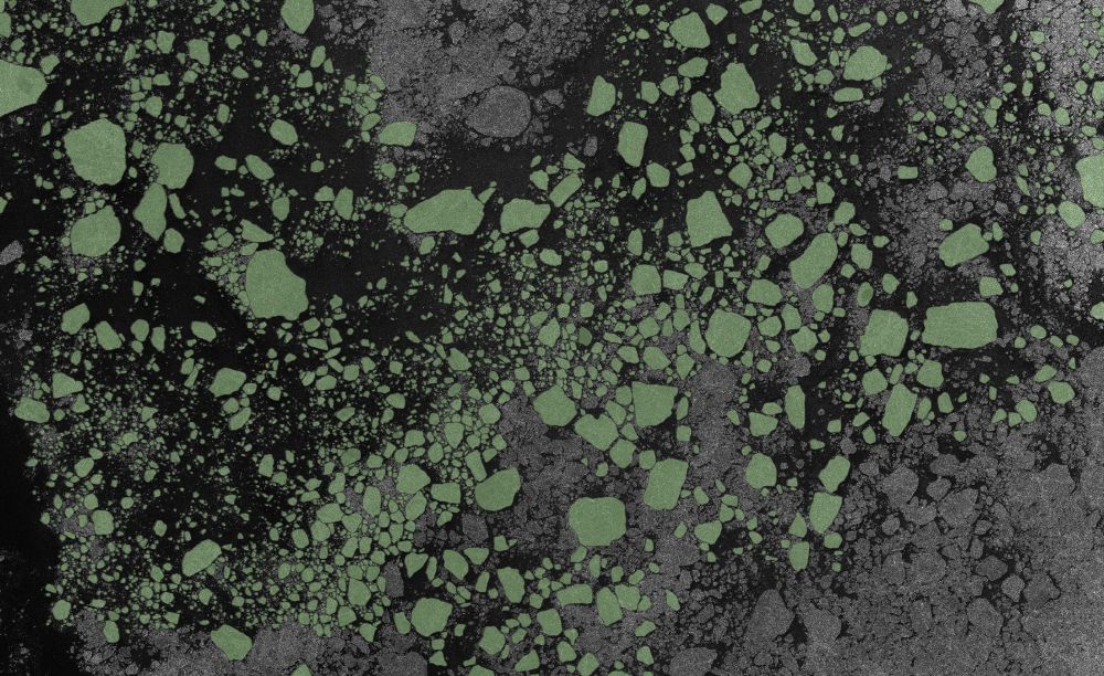 A zoomed in portion of the SAR image in the Weddell Sea. The digitised ice floes are highlighted in semi-transparent green. The image is from 31st Dec. 2020.