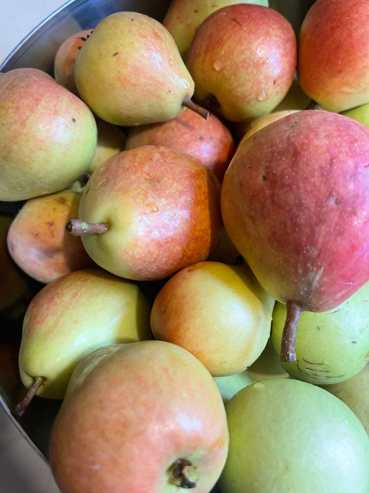 Ripening pears in a bowl.