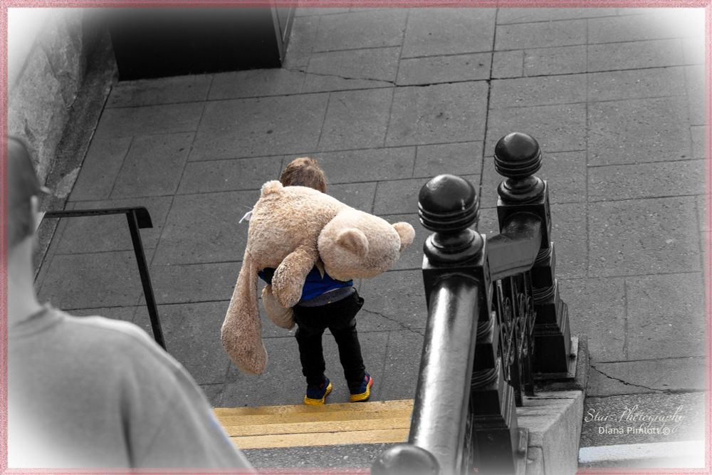 This little guy had to have the biggest bear ... it was so cute watching him carrying it around

