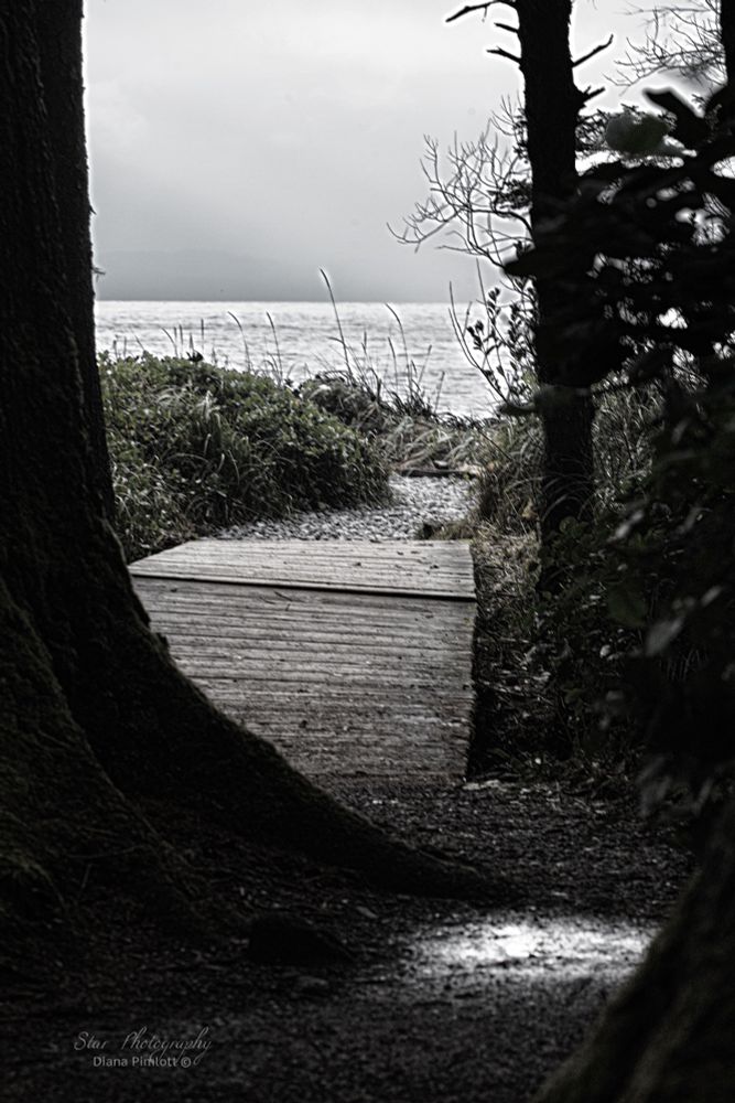Black and white path to the beach