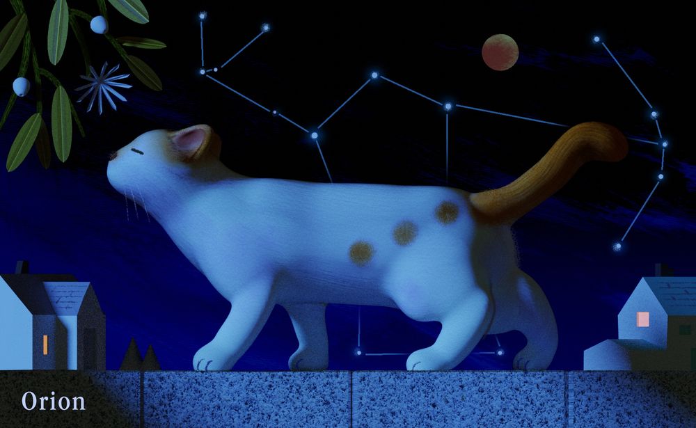 a stylized 3d render of a cat on a low wall. he's a white cat with three orange spots, and they form the belt in the constellation of Orion in the sky behind.