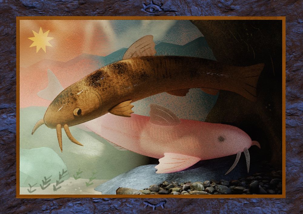 a stylized 3d render of two fish (stone loach and the cave form of the stone loach)
