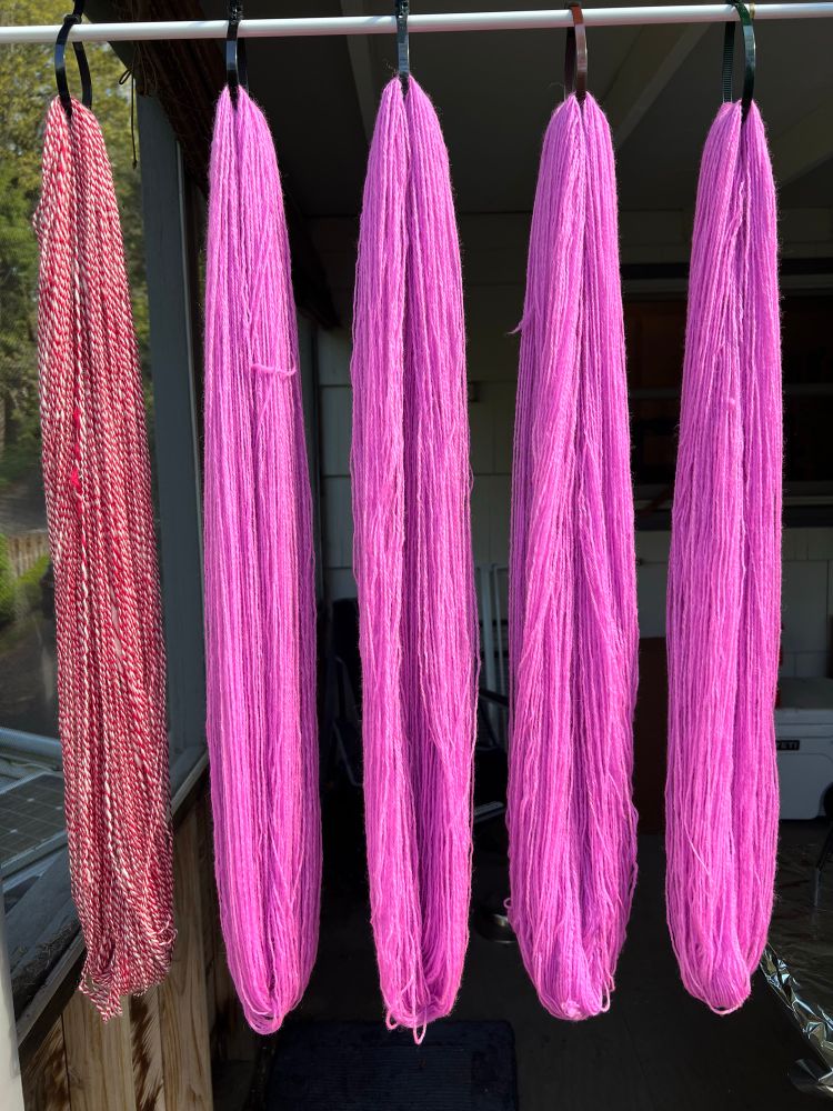 Five hanks of yarn are hanging off a barely visible rod. The left-most hank is a red and white two ply striped handspun yarn that looks vaguely like a candy cane. The other four hanks to the right are a bright pinkish color that almost wants to be purple but isn’t. It’s more purple than bubblegum but more pink than lilac. 