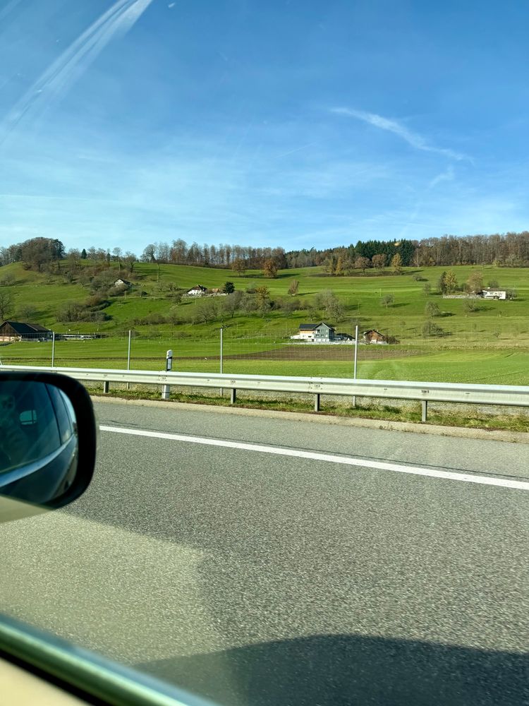 Blick aus dem Auto auf grüne Wiesen und blauen Himmel