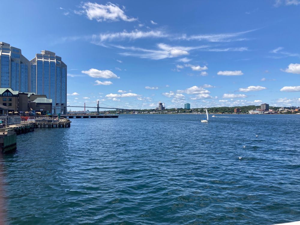 A sunny summer day photographed from a ferry boat on Halifax Harbour. Lots of blue waves, one skinny white sailboat in the distance, and buildings lining each side of the Harbour.