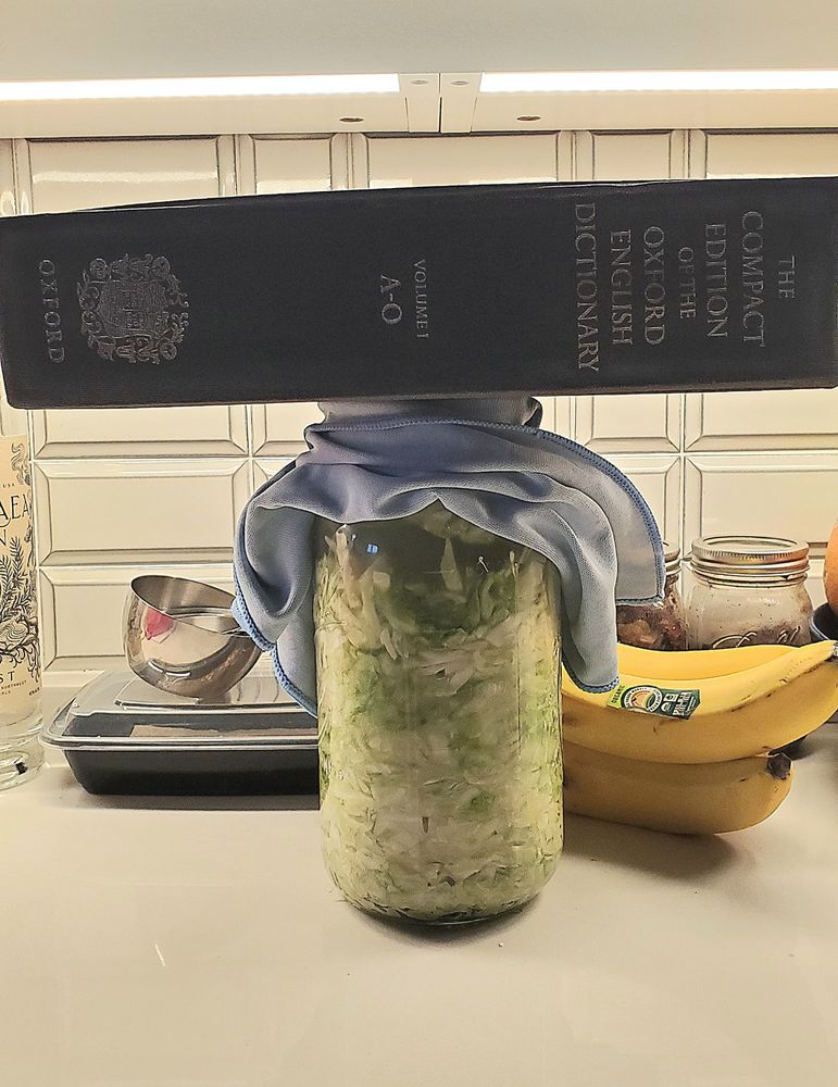 A jar of sauerkraut with the OED resting top. 