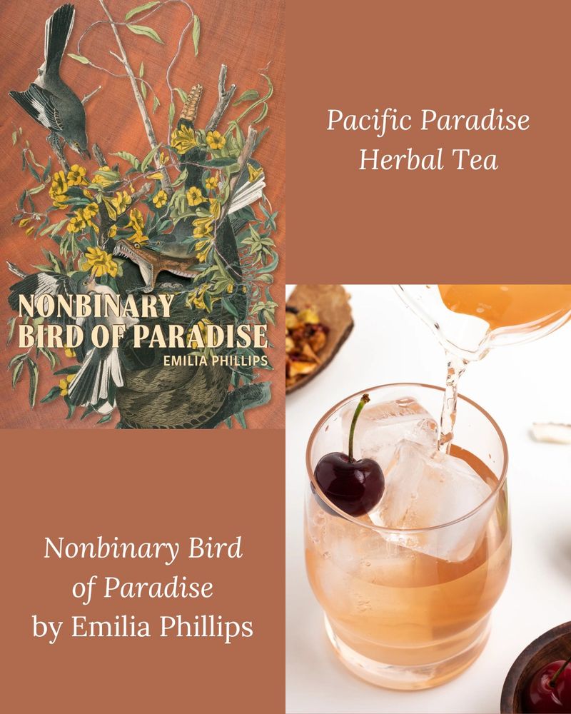 Pacific Paradise Herbal Tea & Nonbinary Bird of Paradise by Emilia Phillips