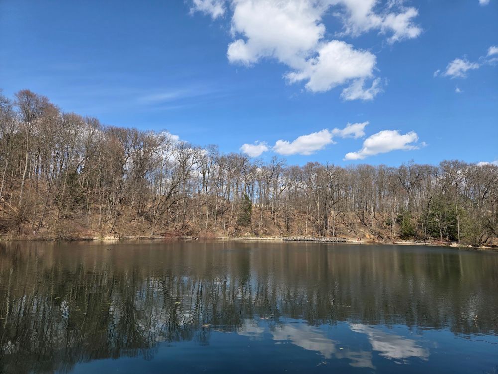 Reflection of the forest and sky at the Lily Pond